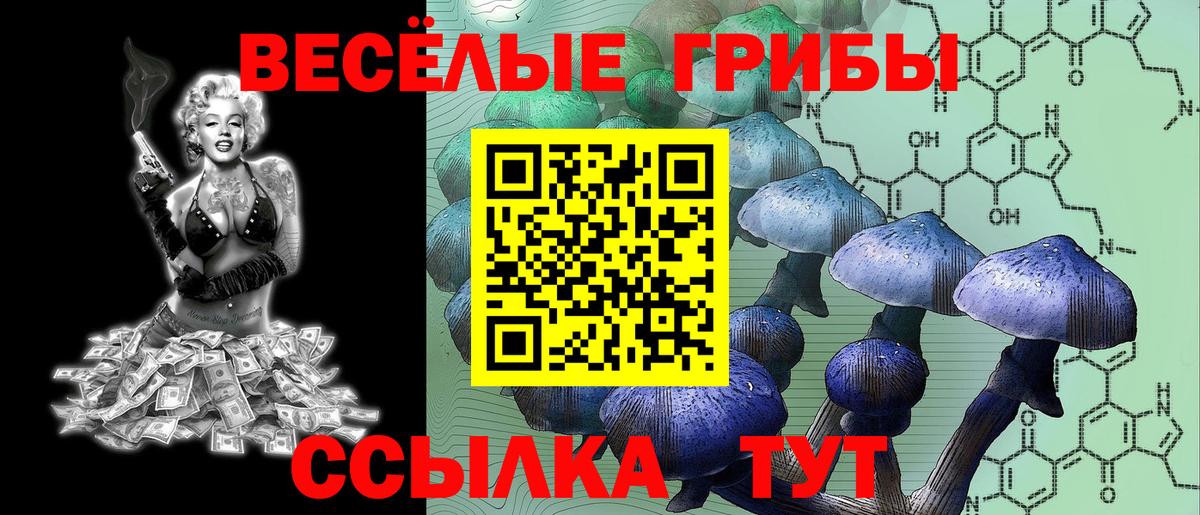 Псилоцибиновые грибы мицелий  Вход с VPN  Юрга  Псилоцибиновые грибы Magic Shrooms 